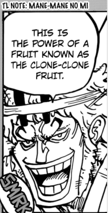 The Clone Clone Fruit One Piece