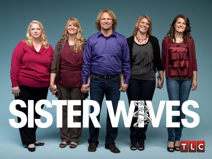 sister wives netflix