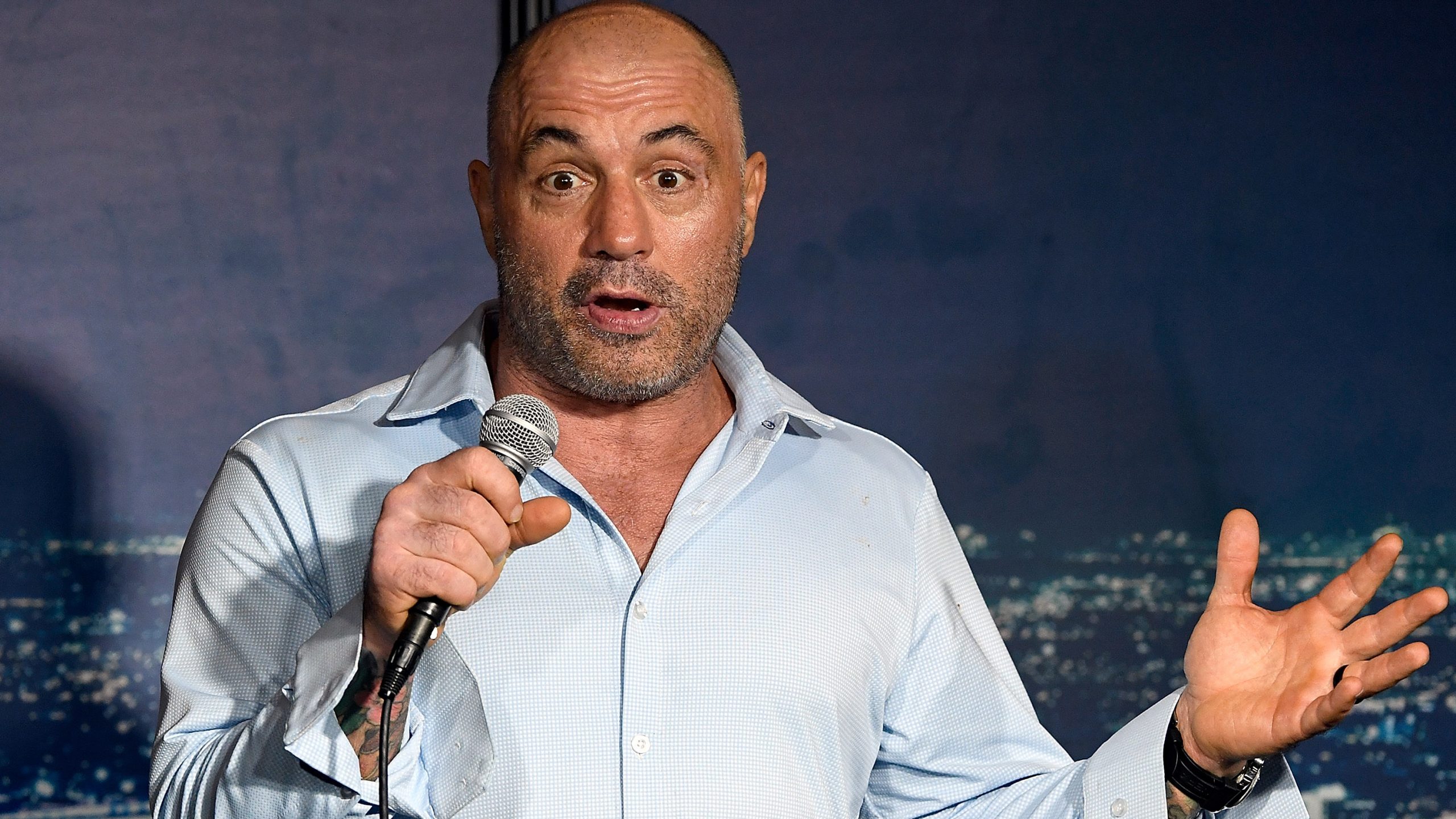 Net Worth of Joe Rogan In 2020 And Early Life - 34