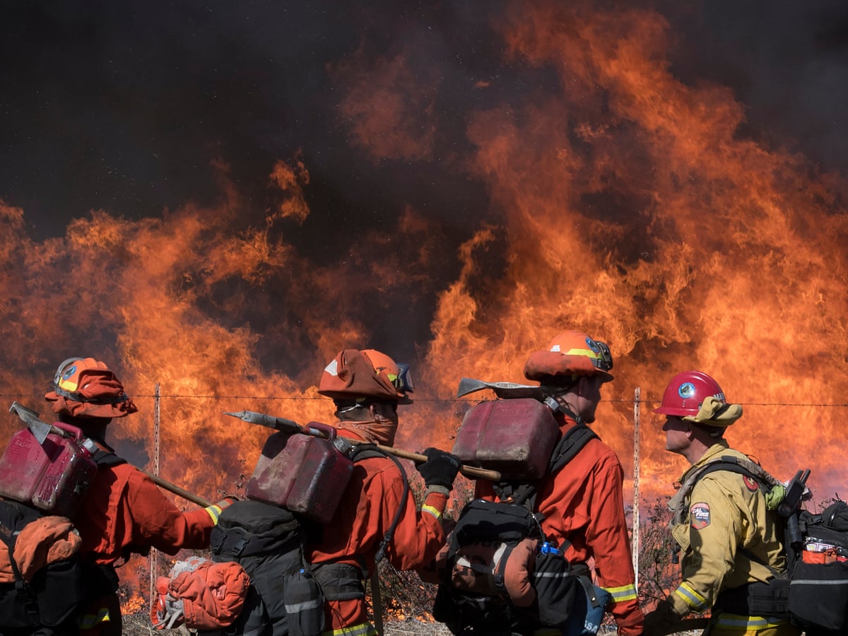 Discovery's Cal Fire Season 1 Set To Release in January ...