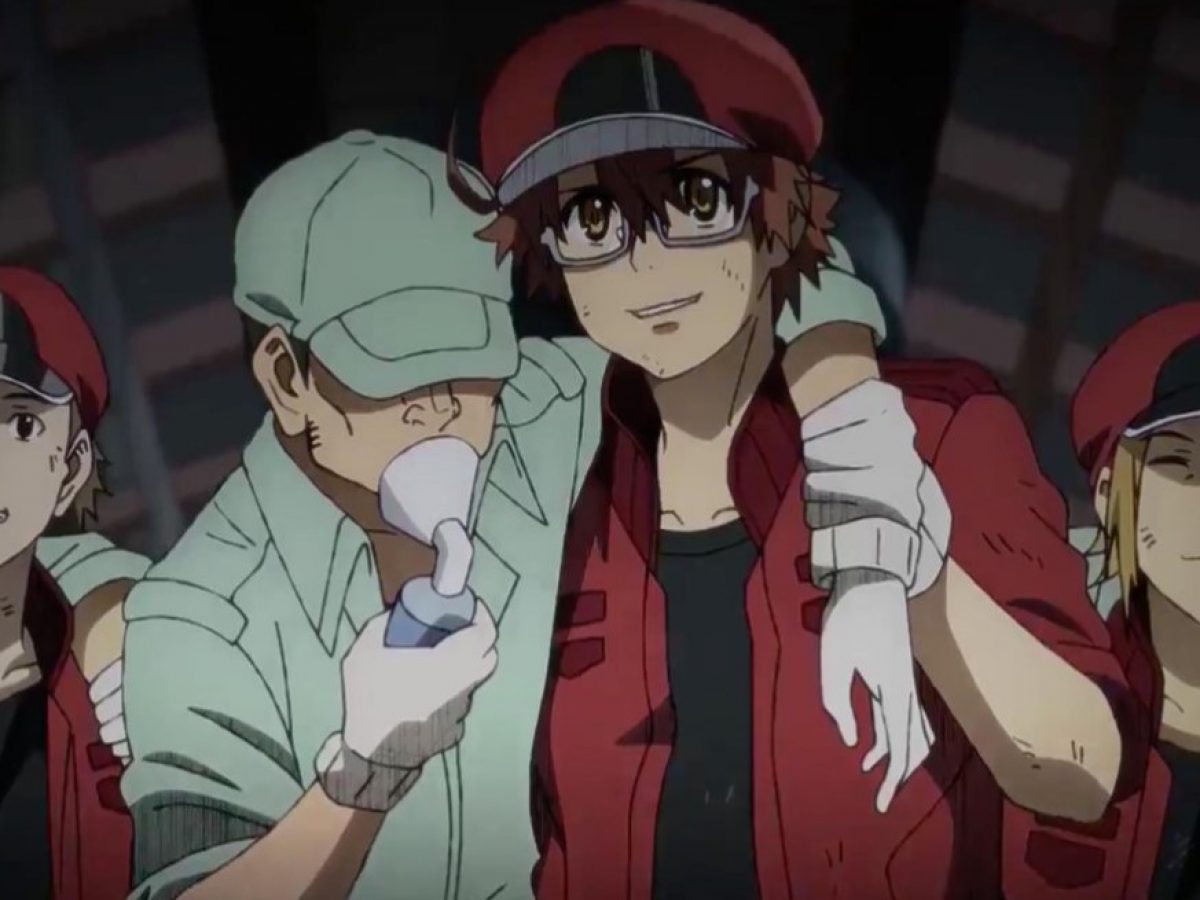 Cells At Work Code Black Episode 1 Spoilers Where To Watch Online Otakukart