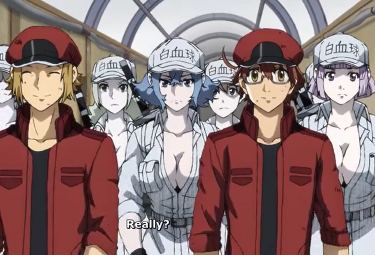 Cells At Work Code Black Episode 7 Release Date And Preview Otakukart