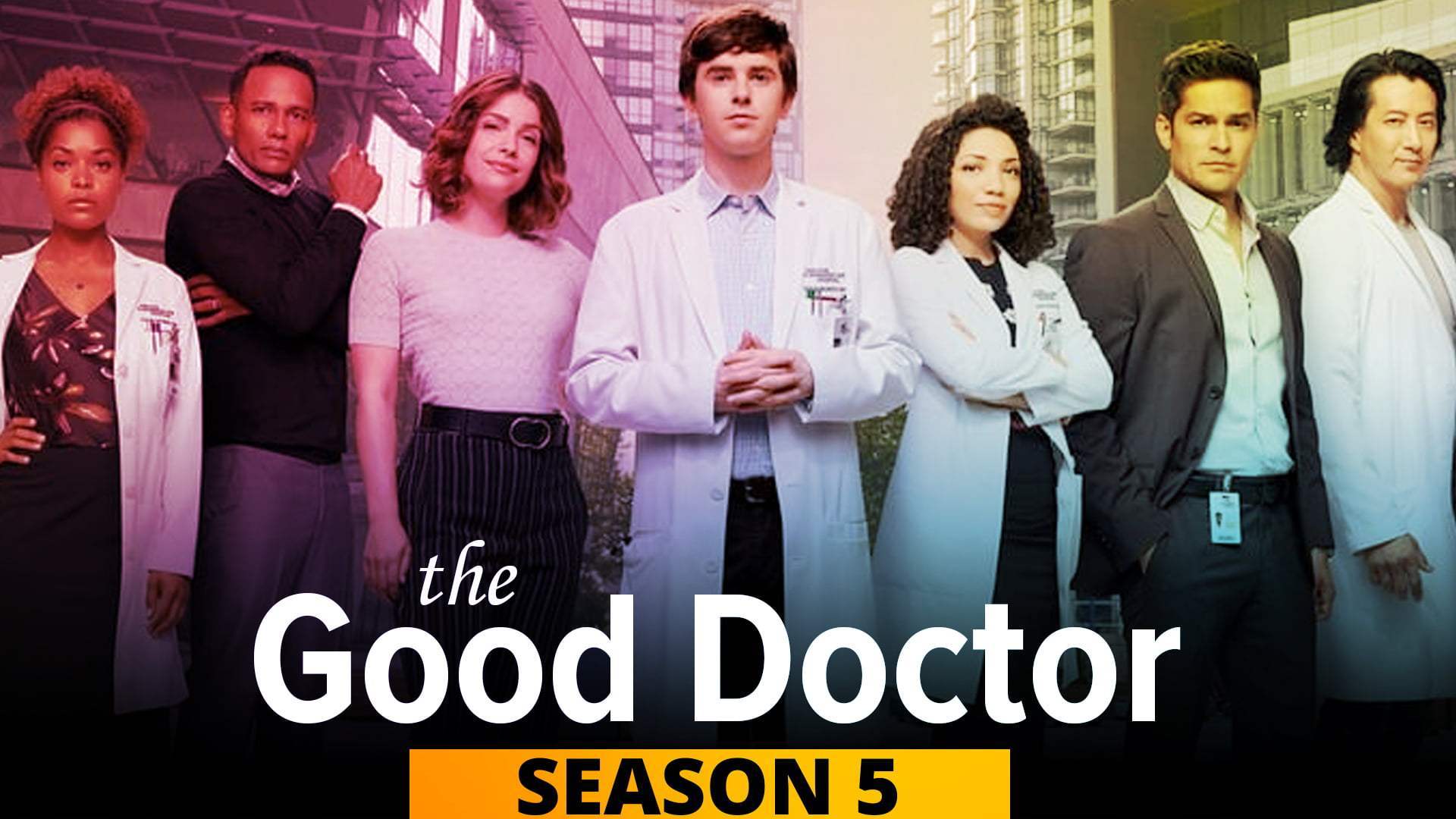 The good doctor cast