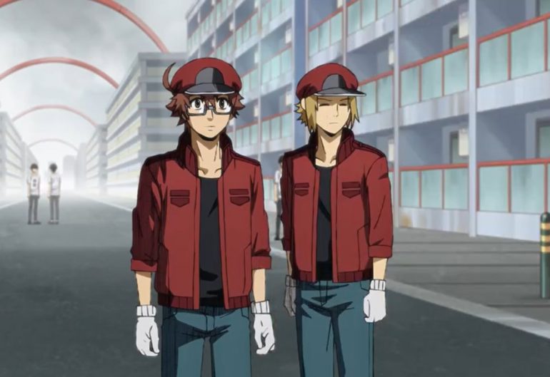 Cells At Work Code Black Episode 8: Release Date, Preview And Recap