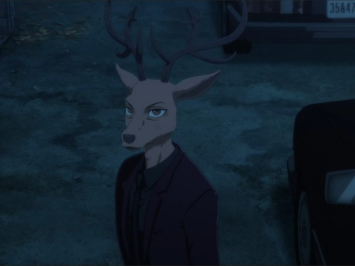 Beastars Season 2 Episode 12 Release Date Watch Online Spoilers Otakukart