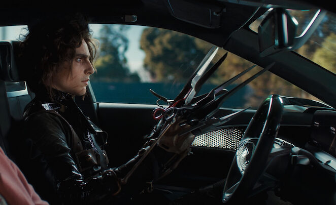 Timothee Chalamet and Winona Ryder Star in  Edgar Scissorhands  Commercial - 19