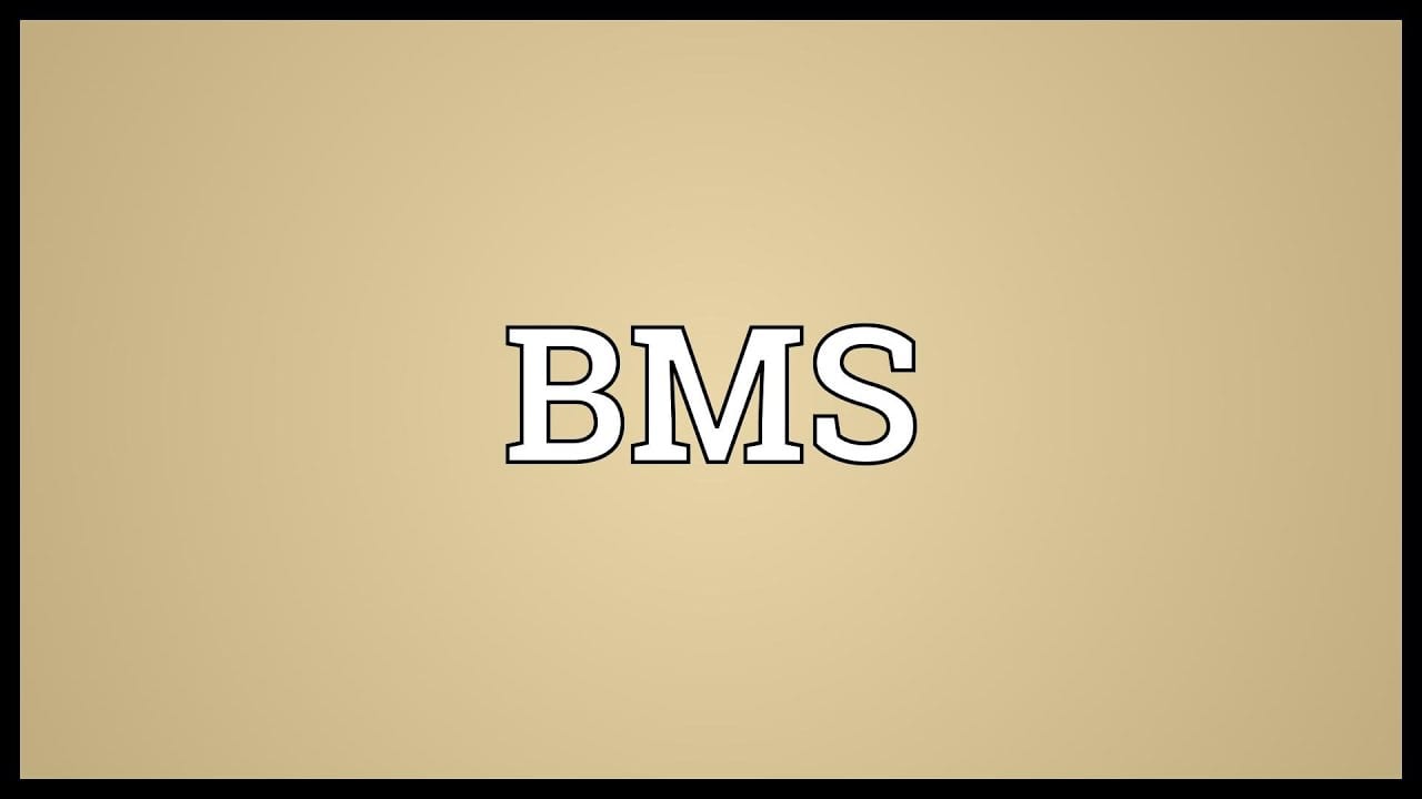 What Does BMS Mean on TikTok  Internet Slang That You Need To Know About - 61