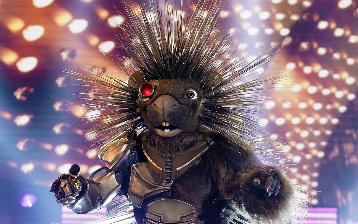 Who Is The Robopine On The Masked Singer Season 5  Is He Really 60 Years Old  - 72