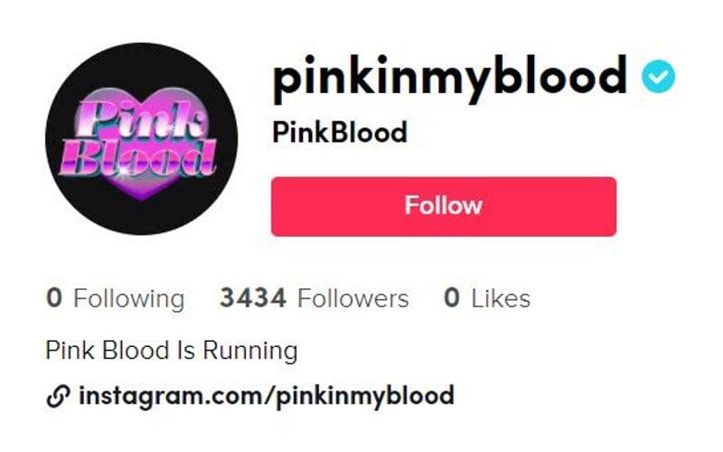 Is SM Entertainment Launching a New Group PinkBlood  - 17