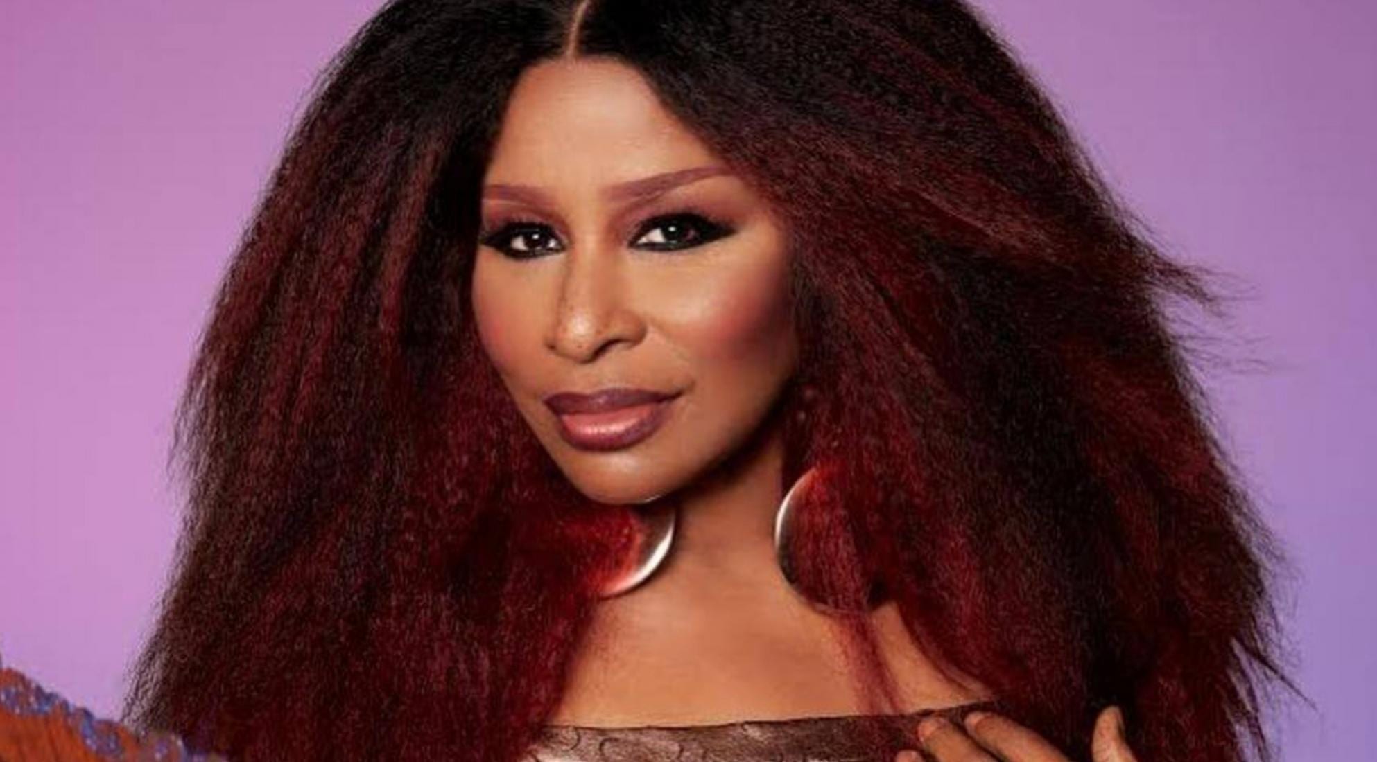 How Old Is Chaka Khan Now  The Musical Star Seen At American Idol Finale - 63