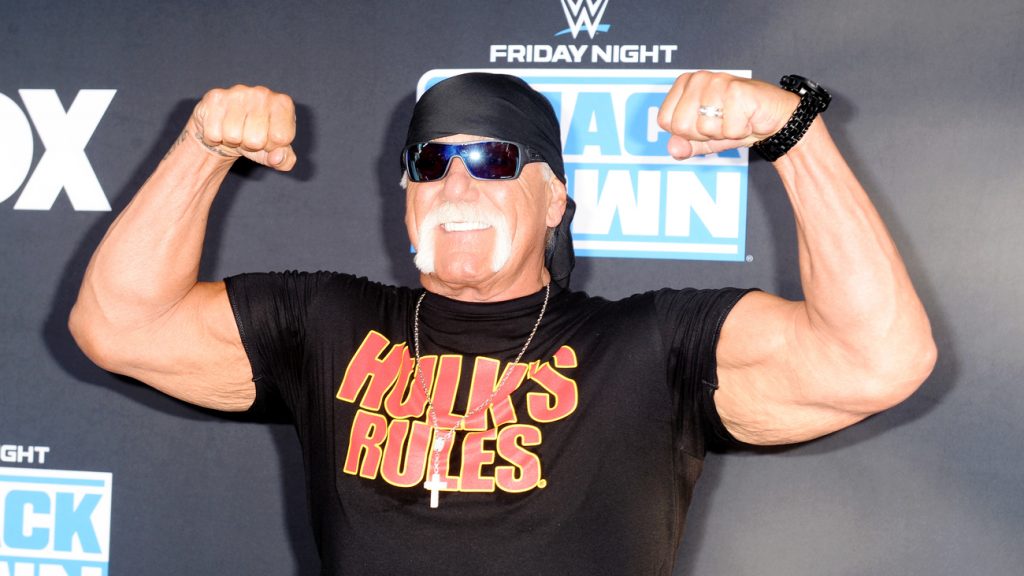 Hulk Hogan 3