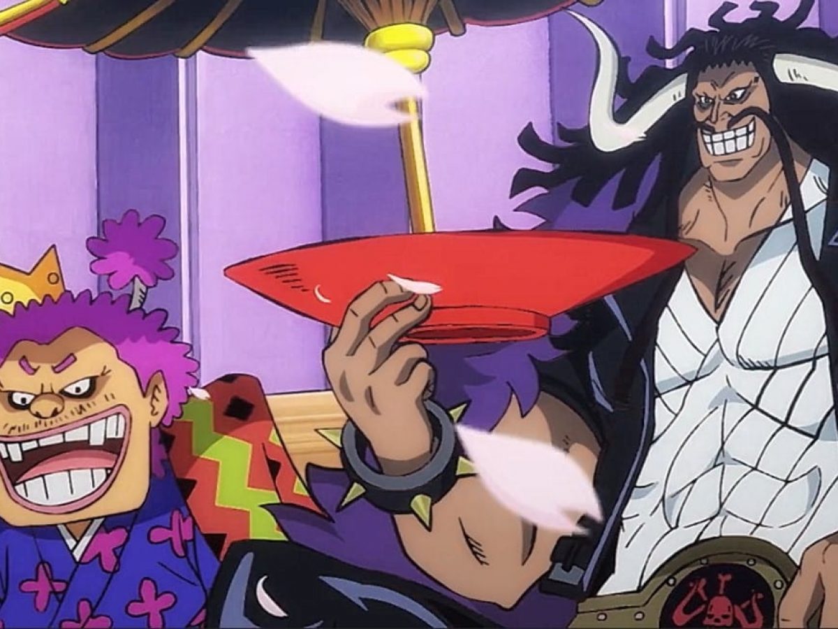 One Piece Episode 800