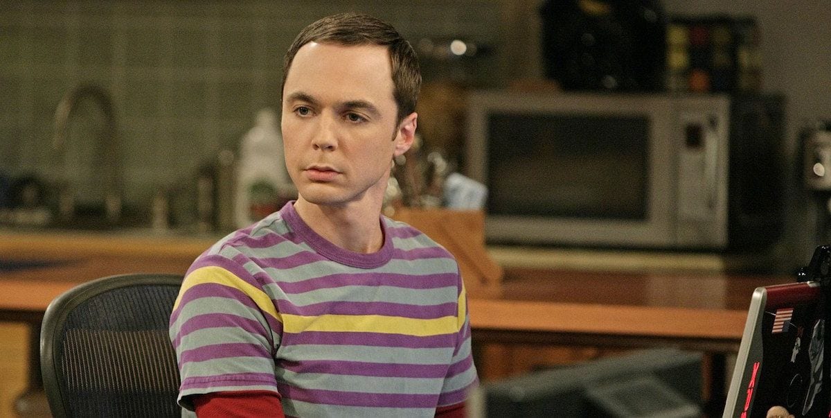 Top 10 Big Bang Theory Characters Adored By The Fans - 31