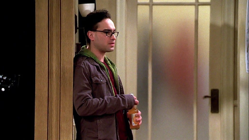 Top 10 Big Bang Theory Characters Adored By The Fans - 1