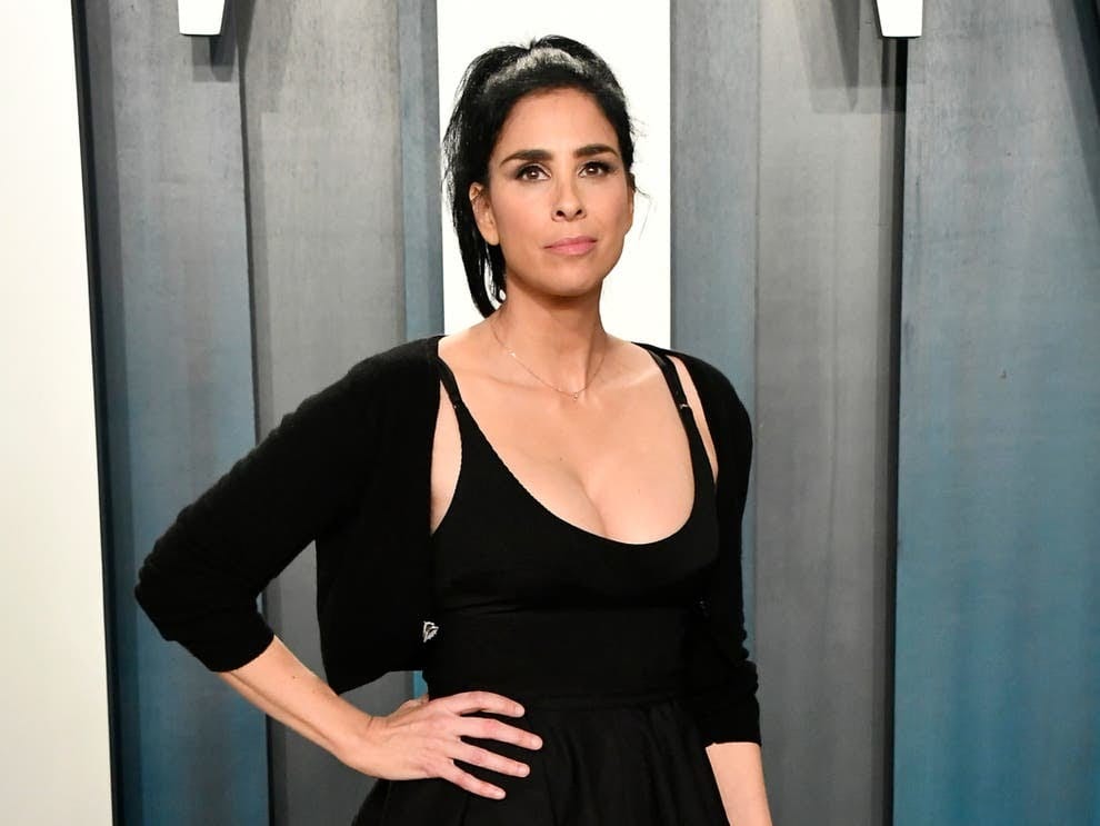 Who Is Sarah Silverman  The Bold Female Television Personality  - 83