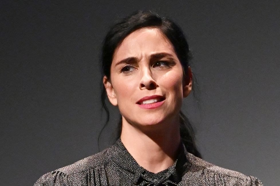 Who Is Sarah Silverman  The Bold Female Television Personality  - 21