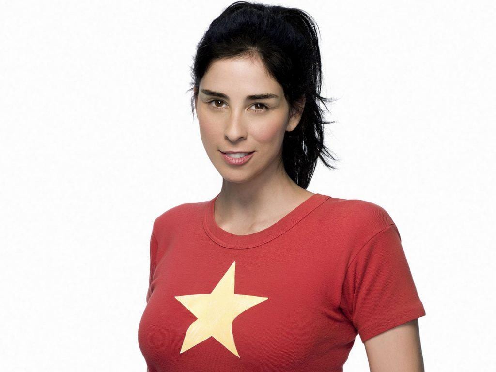 Who Is Sarah Silverman  The Bold Female Television Personality  - 13