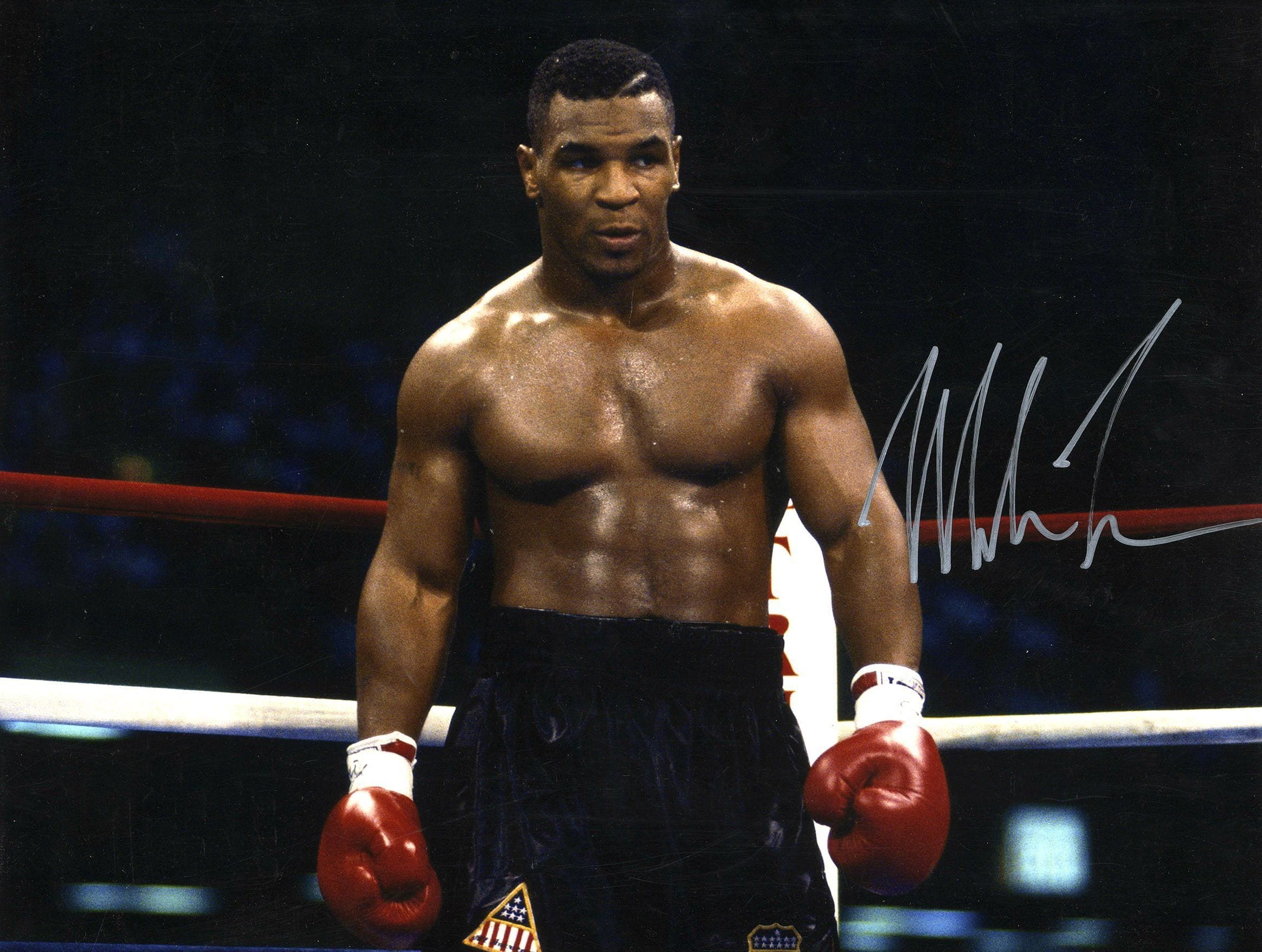 Mike Tyson Net Worth  The Most Fearful Boxer is Bankrupt  - 22