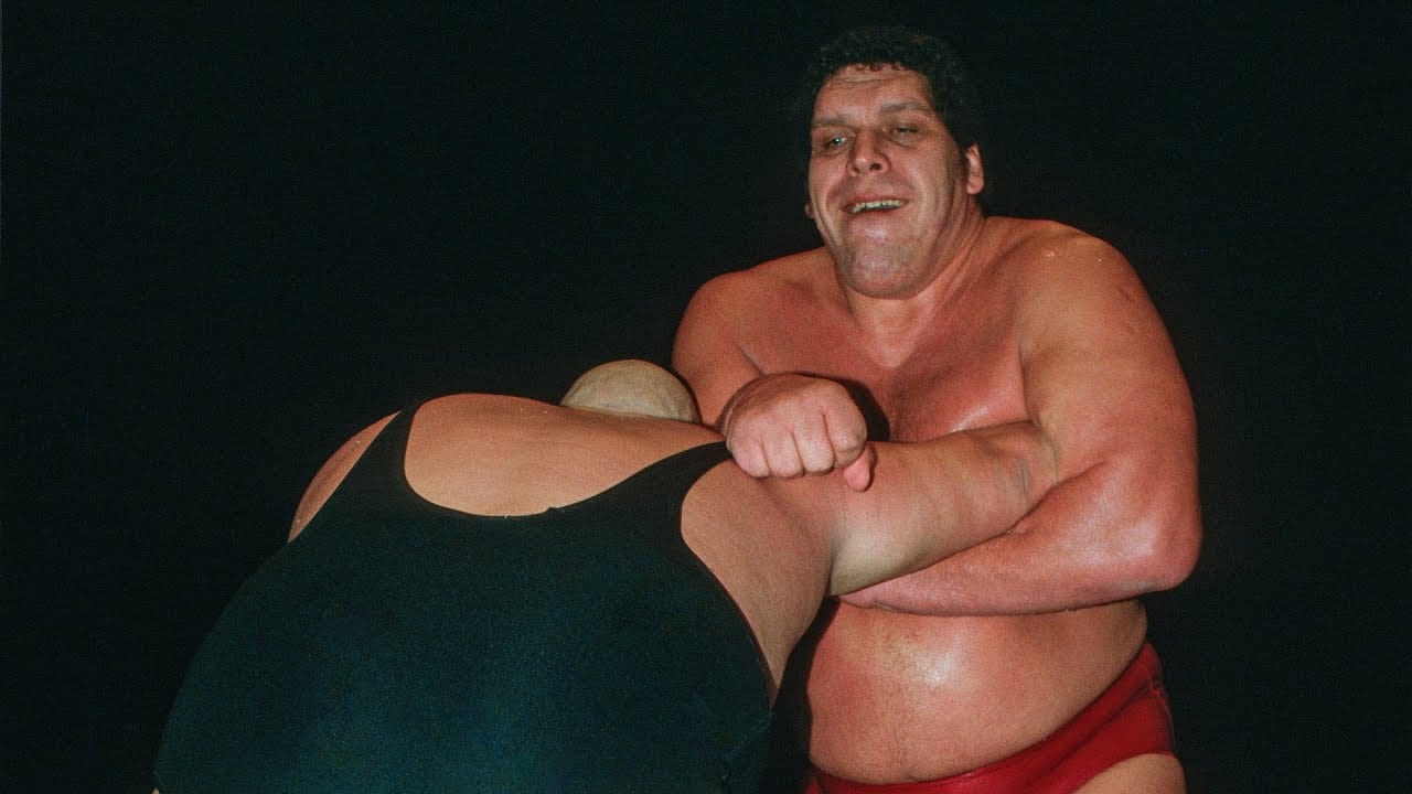 Andre The Giant Net Worth  How Much is The Famous Wrestler Worth Now  - 31