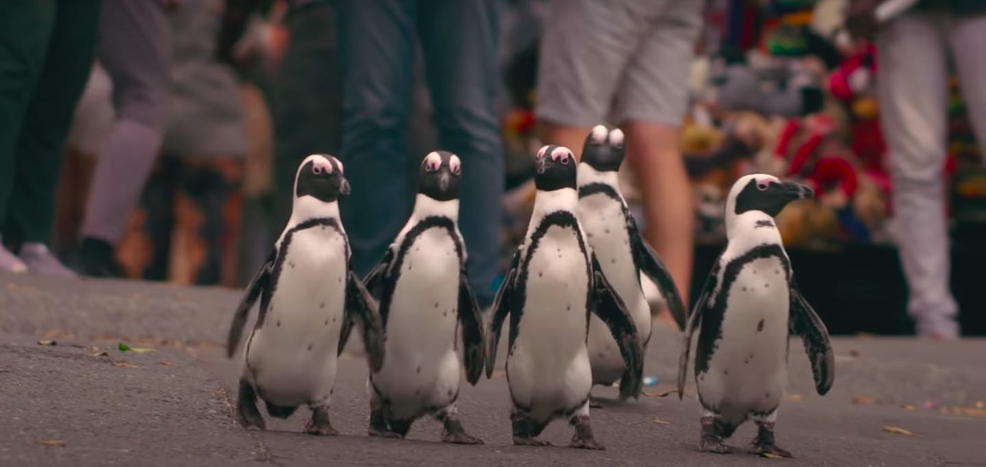 Penguin Town  Netflix Release Date  Plot   Trailer - 37