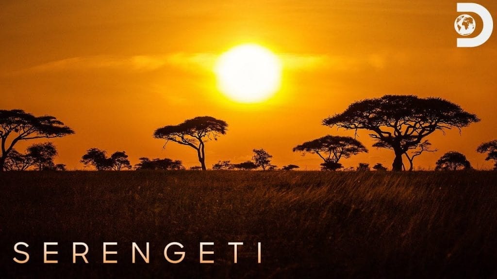 What To Expect From Serengeti Season 2 Episode 1?