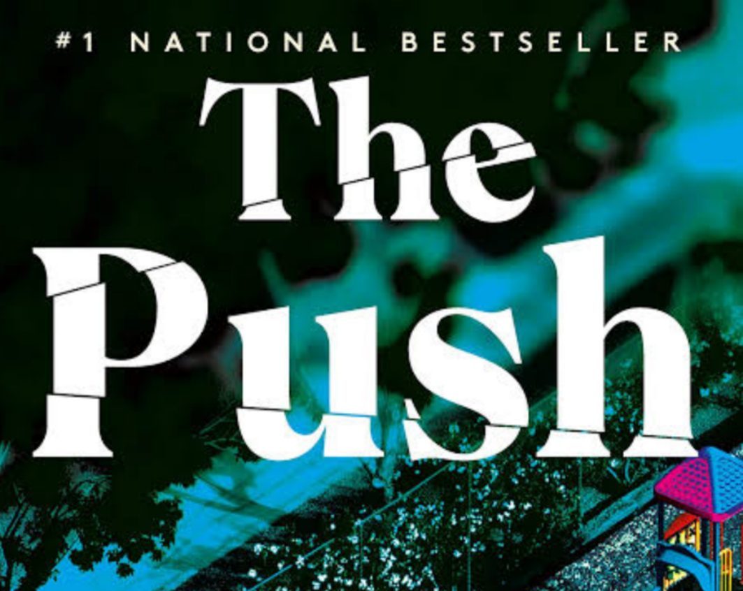 ashley audrain the push review