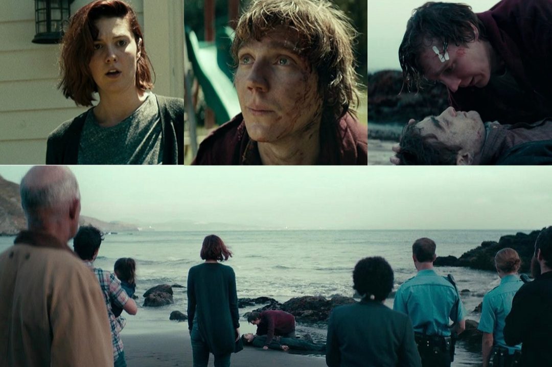 What is the meaning of Swiss Army Man
