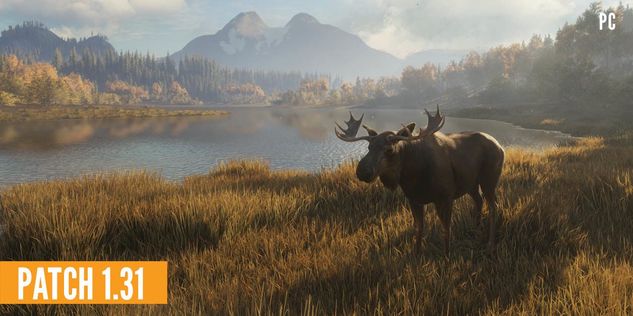 Call of the Wild Hunter patch notes