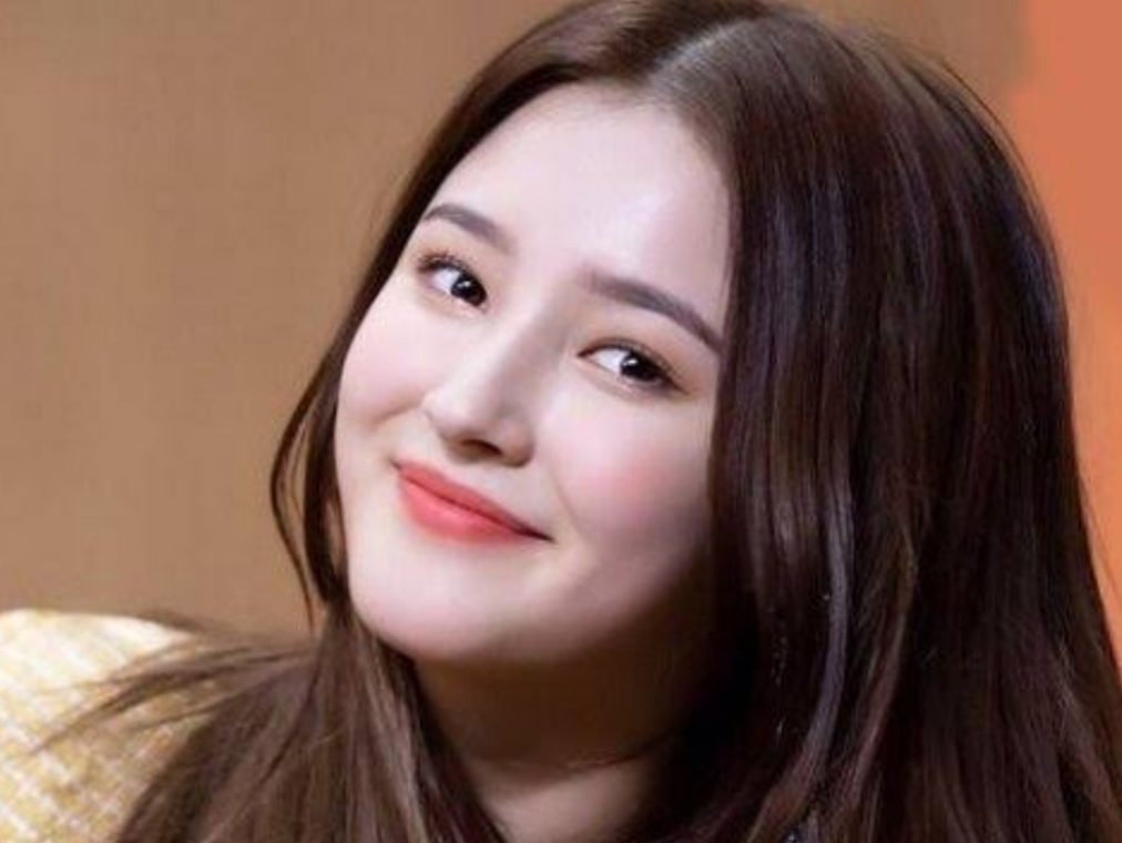 Nancy Momoland's Boyfriend A Dive into her Personal Life OtakuKart