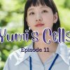 Yumi's Cells Episode 11