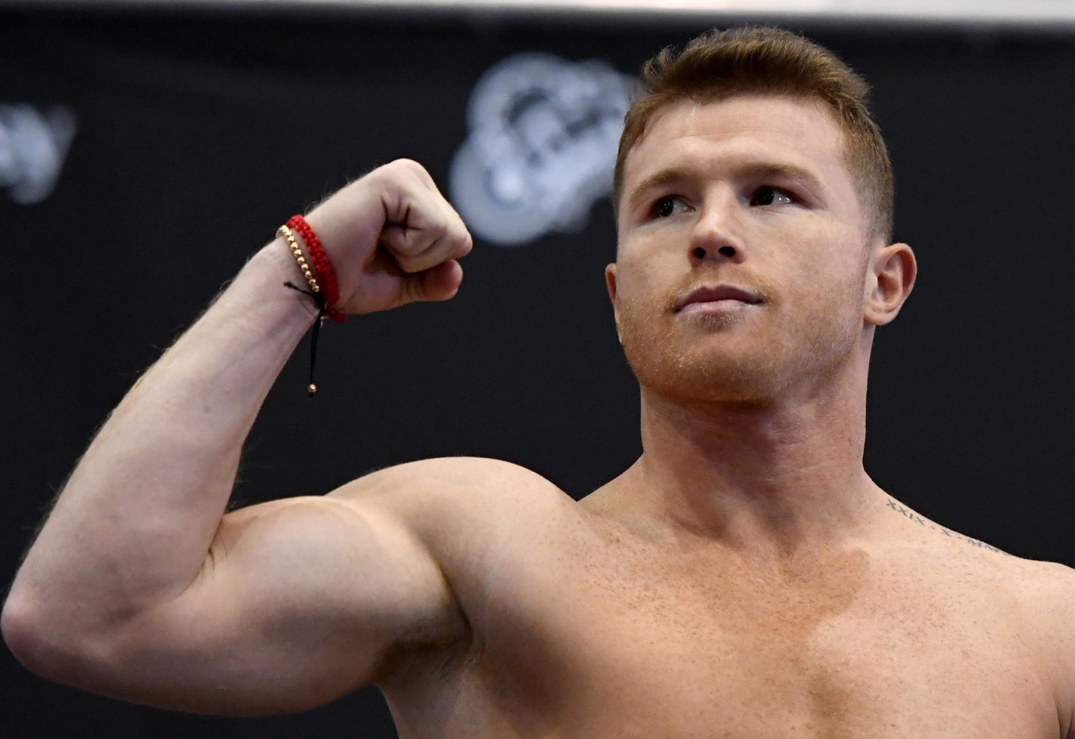 Canelo Alvarez Net Worth Early Career & Achievements OtakuKart