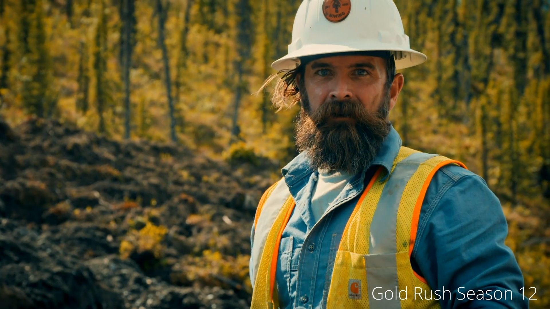 when does the gold rush series start