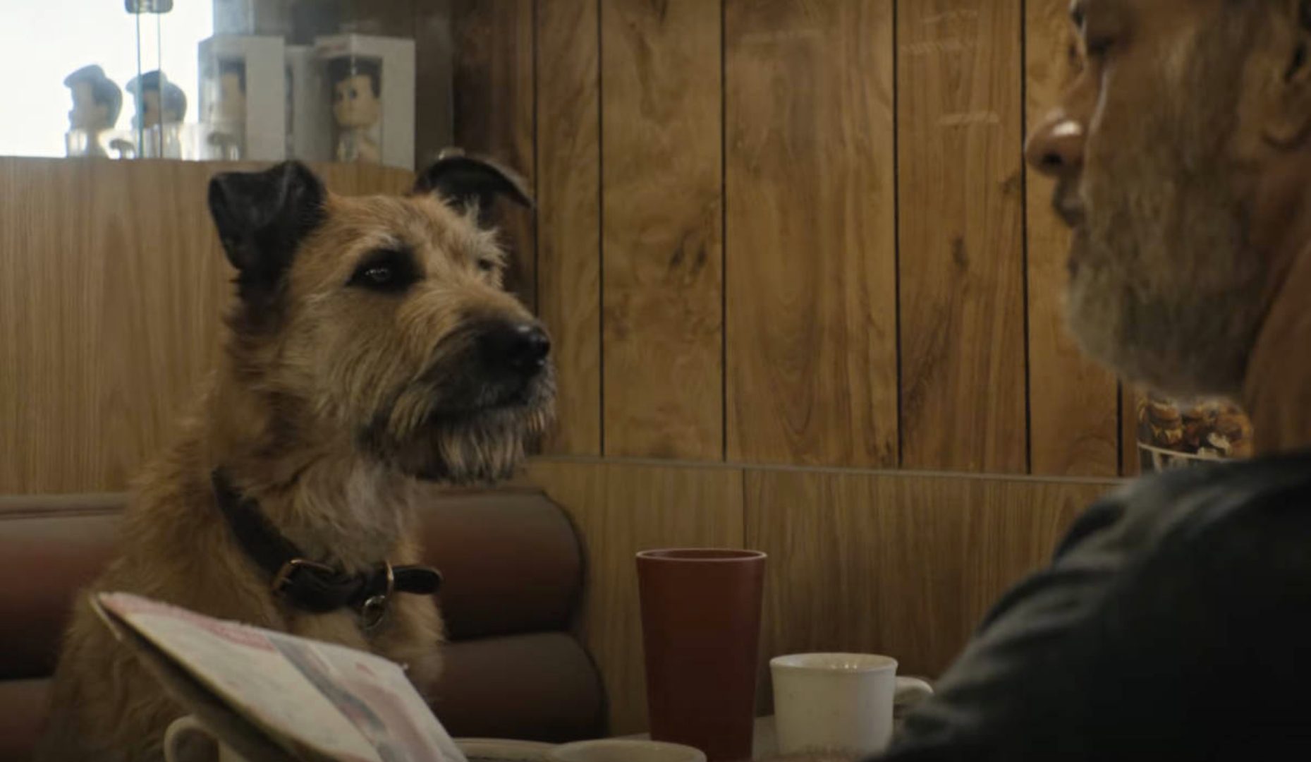 Does the dog die in ‘Finch’?  Everything about the movie by Tom Hanks
