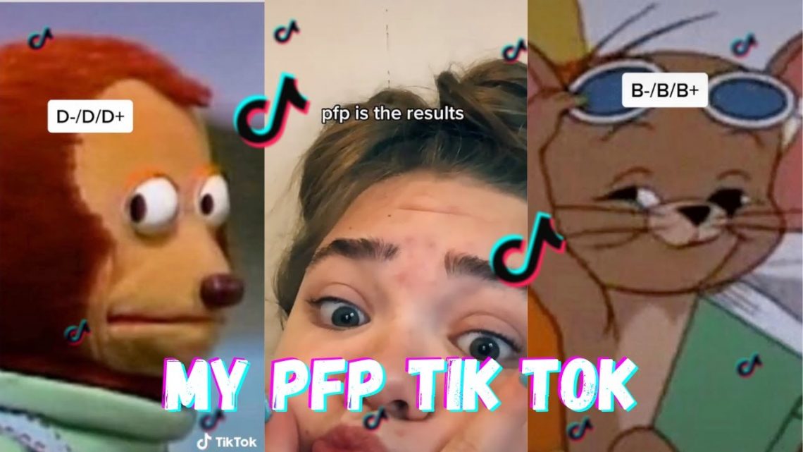 What Is 'PFP' On TikTok? All About The Term And How It's Used - OtakuKart