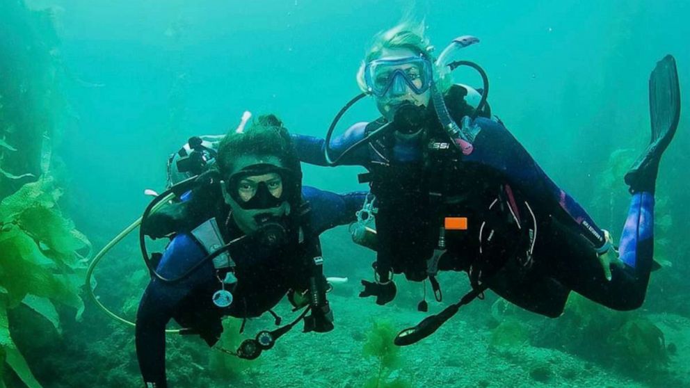 Dive Club - Diving Scenes