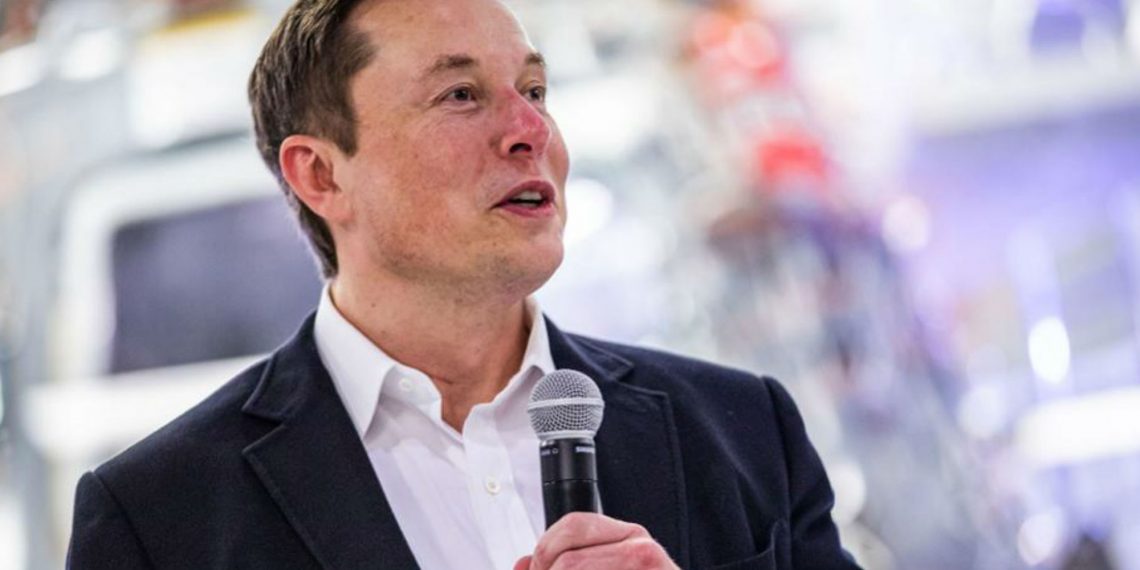 Elon Musk and Grimm's Split