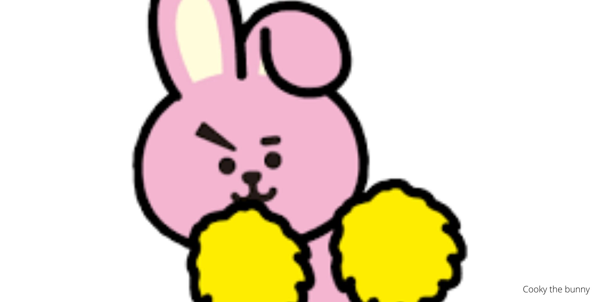 Cooky the bunny