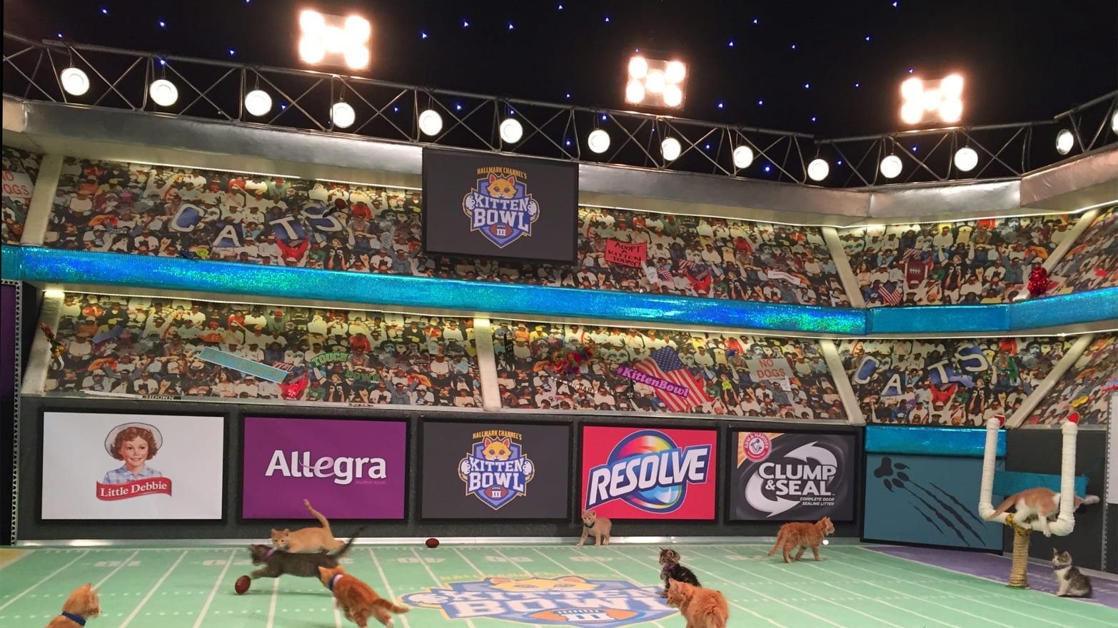 Kitten Bowl 2022 cancelado