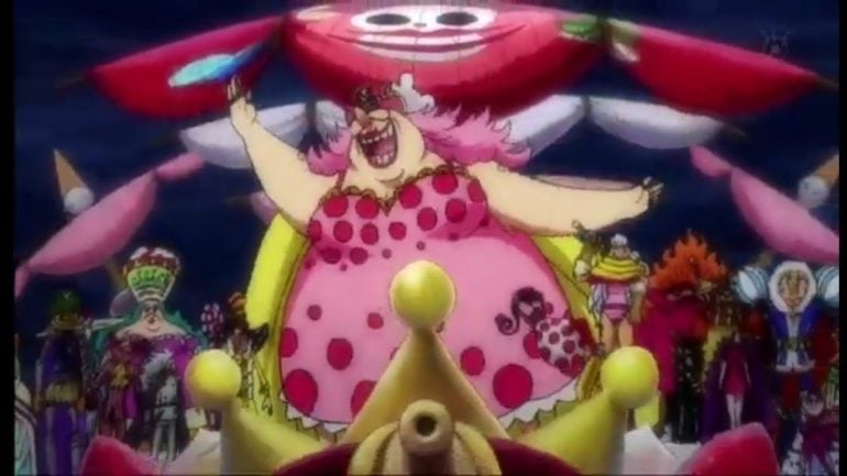 Answers Of The Most Asked Questions Of One Piece