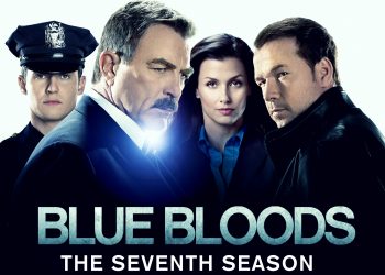 series similar to Blue bloods