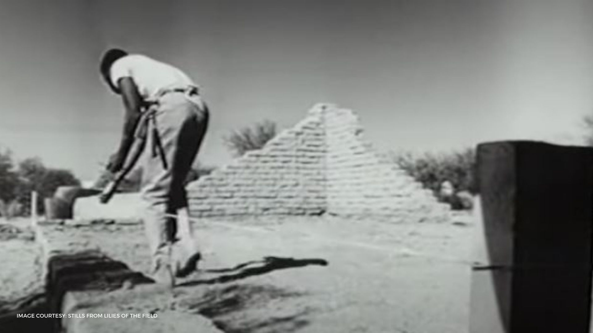 Donde estaba "lirios del campo" ¿Filmado?