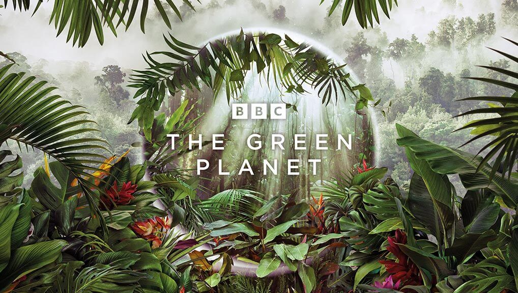 The Green Planet Season 1 Episode 5