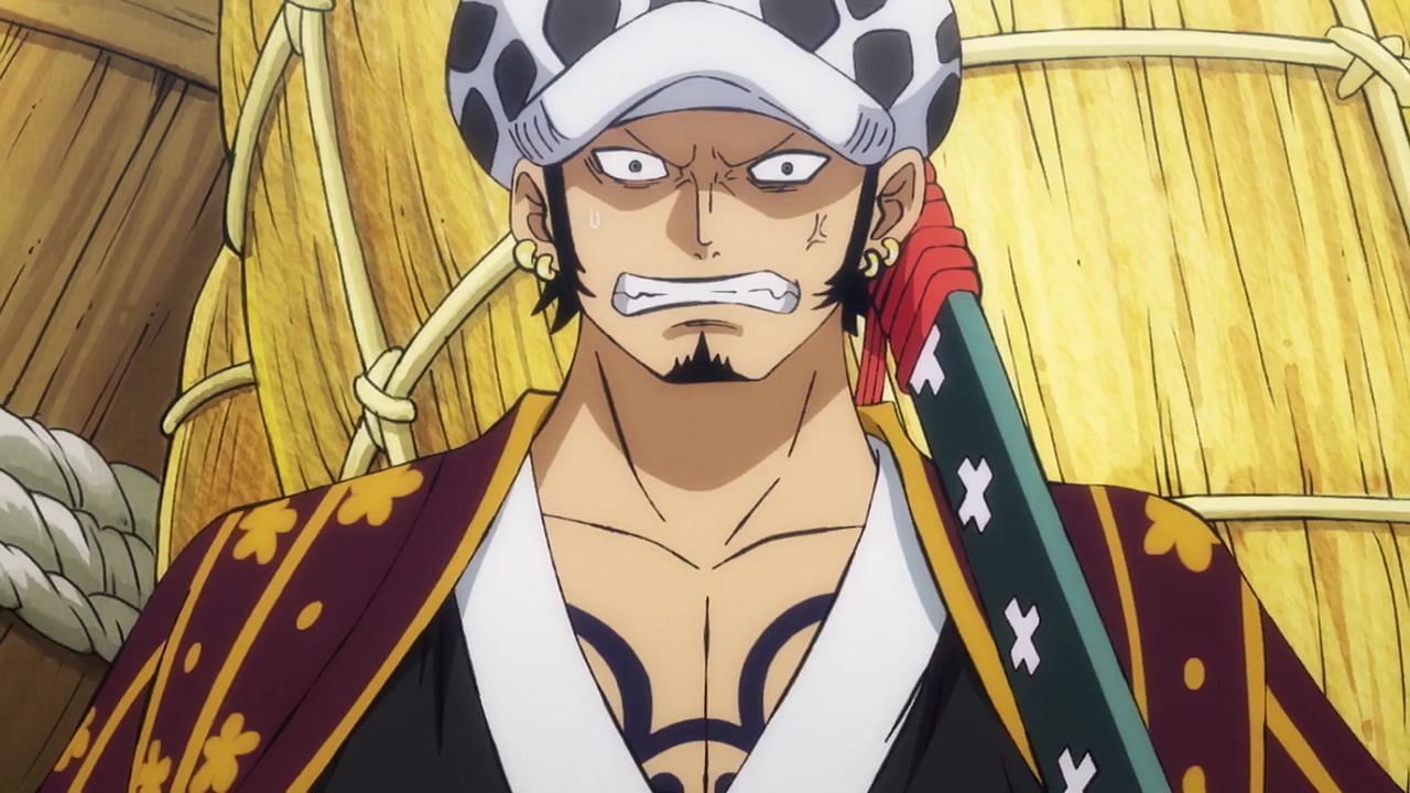 Everything you need to know about trafalgar law 