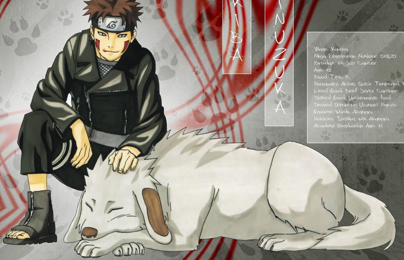 Top Cutest Pets In Anime That You Wish You Could Have - Akamaru