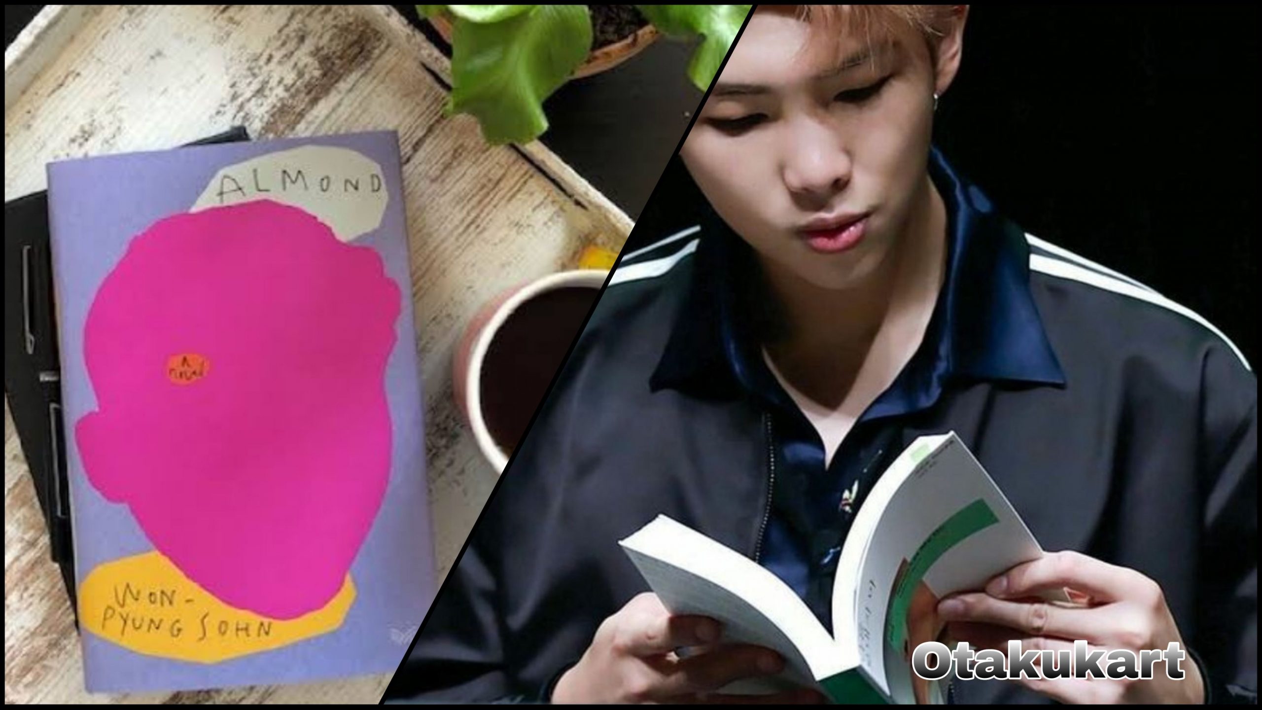 Books recommended by BTS RM