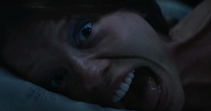 pelicula x