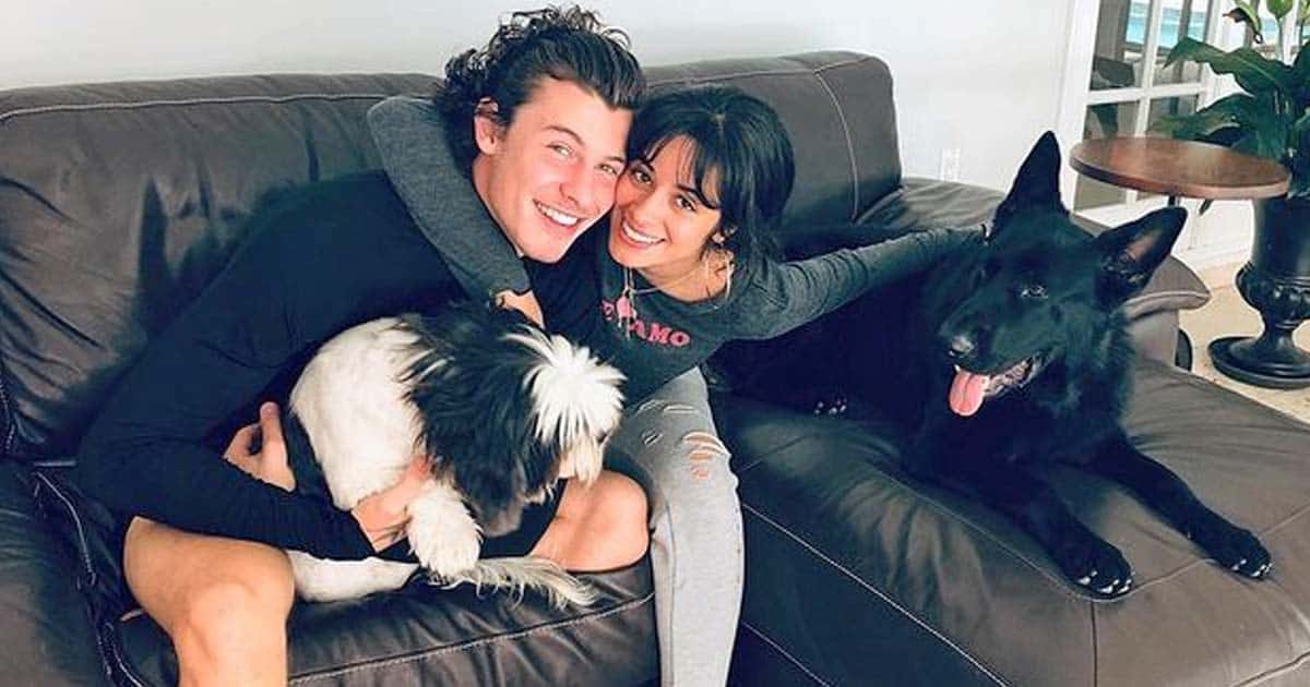 Shawn Mendes y Camila Cabello