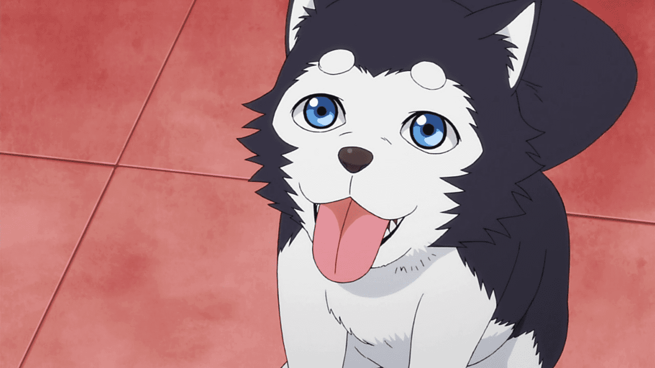 Top Cutest Pets In Anime That You Wish You Could Have - Tetsuya 2