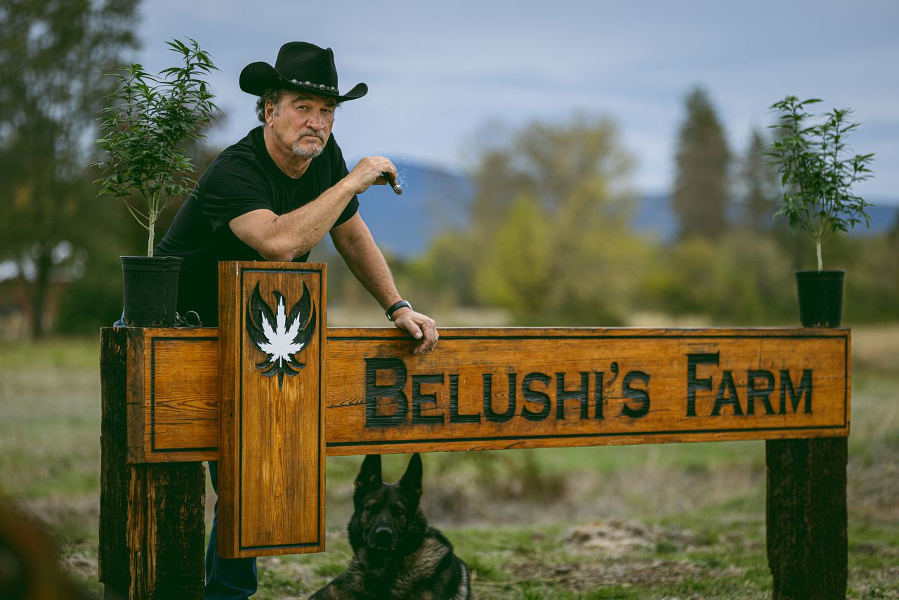 Jim Belushi on Belushi Farm located in Oregon, USA (Credits: IMDb)