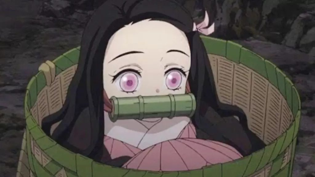 Top 10 Worst Things About Nezuko